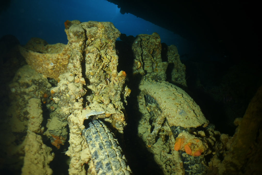 Red Sea January 2023