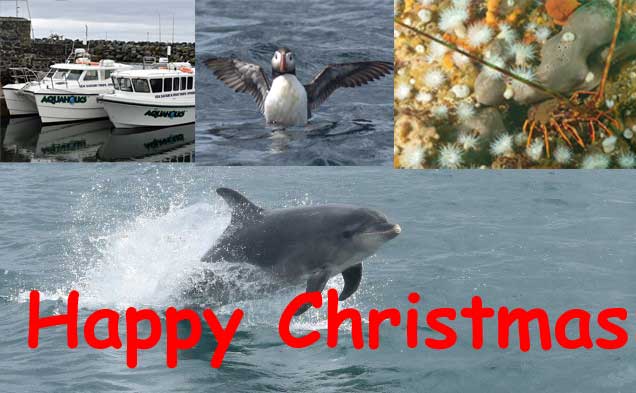 Happy Christmas from Aquaholics