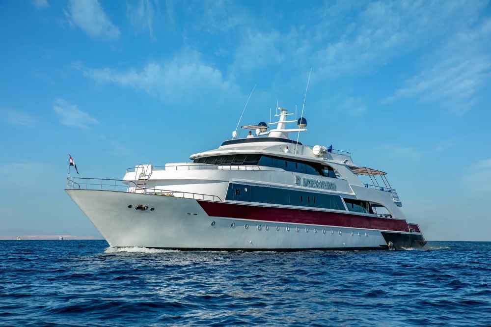 Join us! Famous five Red Sea -  Hurghada November 2024