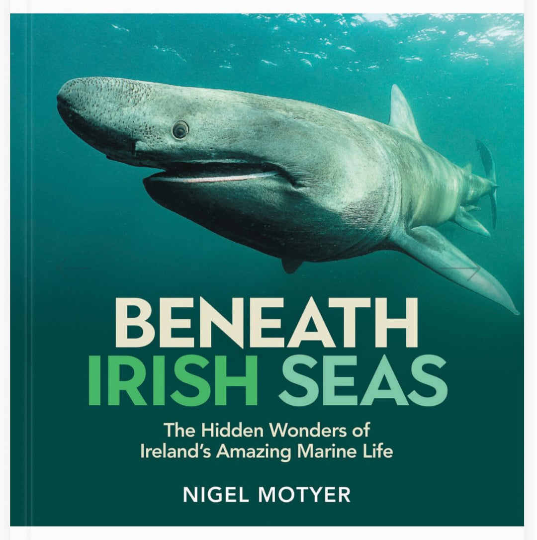 Beneath Irish Seas: The Hidden Wonders of Ireland’s Amazing Marine Life - Pre Order