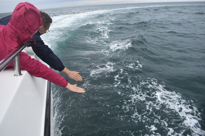 Gift Card - Aquaholics - Aquaholics Dive Centre, Shop and Sea Safari