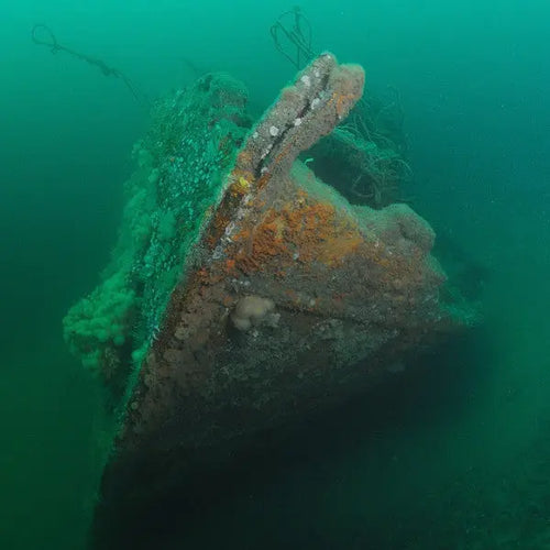 PADI Open Water Diver