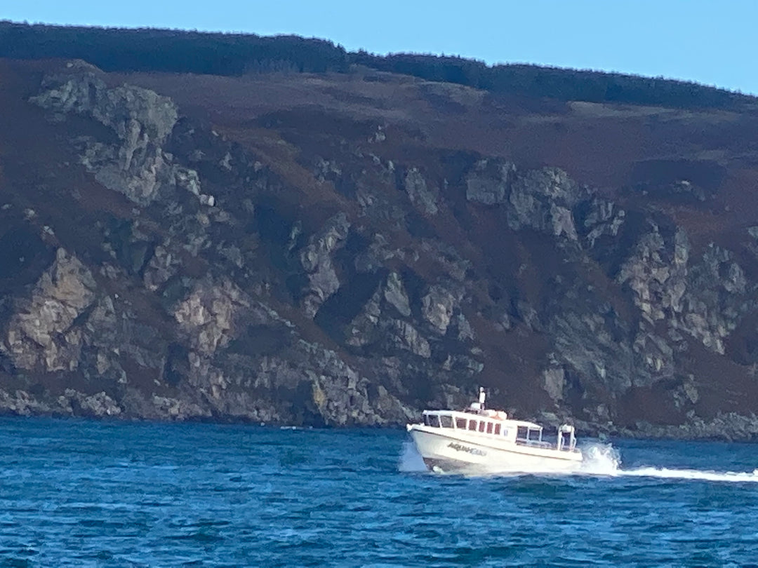 Campbeltown to Ballycastle passenger - Aquaholics Dive Centre, Shop and Sea Safari - Aquaholics Dive Centre, Shop and Sea Safari