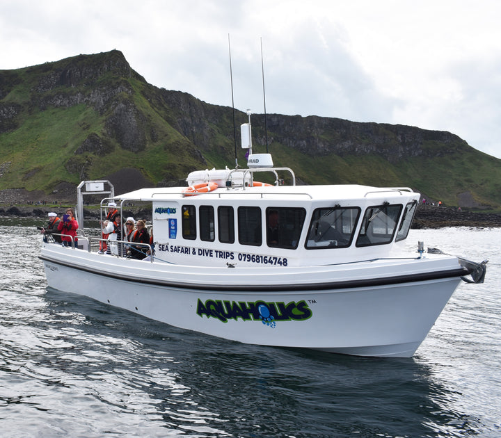 The Giant tale below the Causeway – The Armada Story - Aquaholics Dive Centre, Shop and Sea Safari - Aquaholics Dive Centre, Shop and Sea Safari