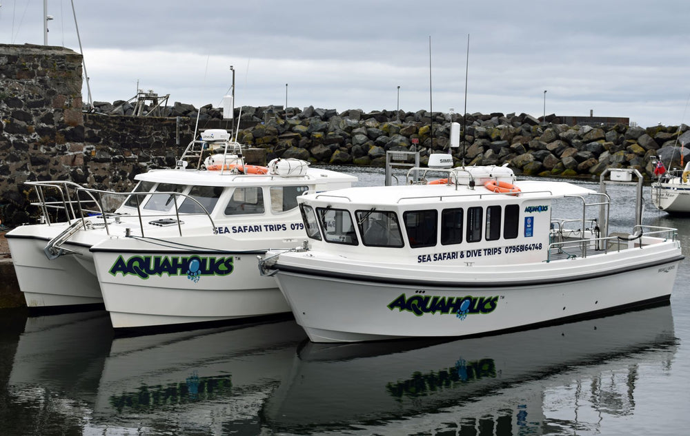 Gift Card - Aquaholics - Aquaholics Dive Centre, Shop and Sea Safari