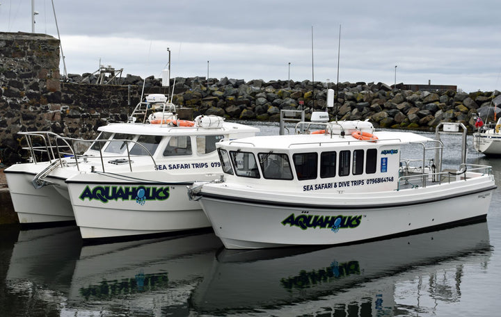 Gift Card - Aquaholics - Aquaholics Dive Centre, Shop and Sea Safari