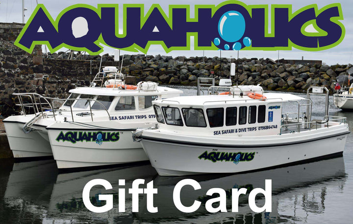 Gift Card - Aquaholics - Aquaholics Dive Centre, Shop and Sea Safari