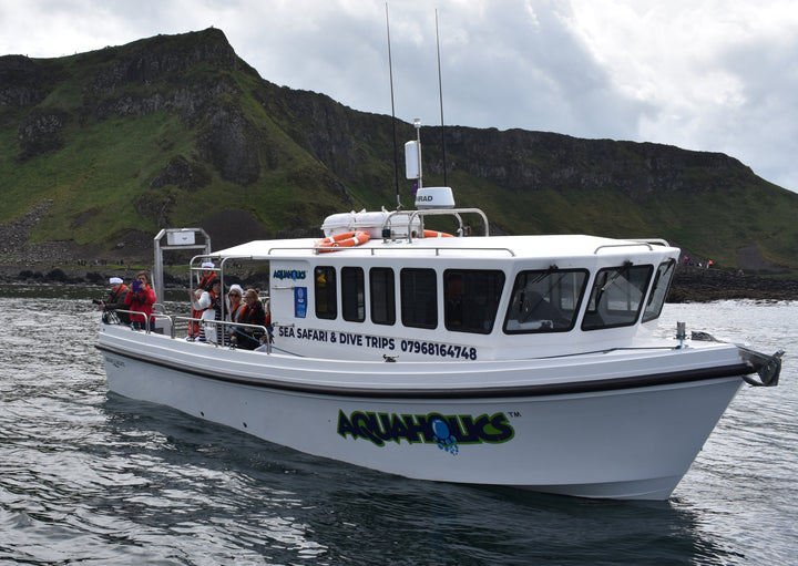 Gift Card - Aquaholics - Aquaholics Dive Centre, Shop and Sea Safari
