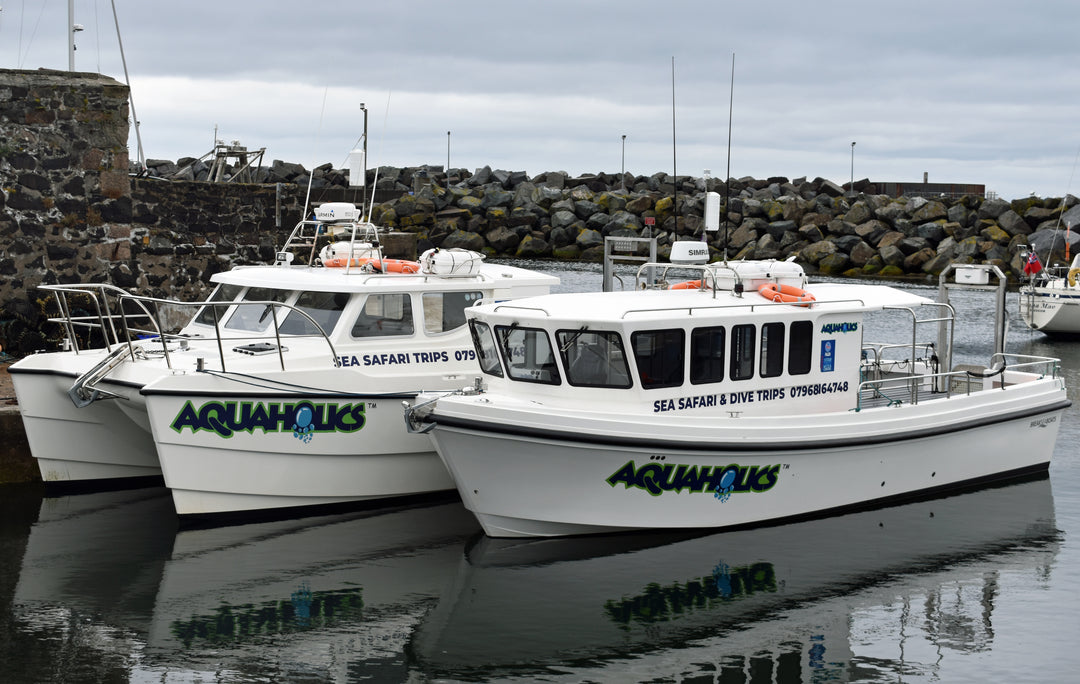 Ballycastle to Campbeltown Passenger - Aquaholics Dive Centre, Shop and Sea Safari - Aquaholics Dive Centre, Shop and Sea Safari