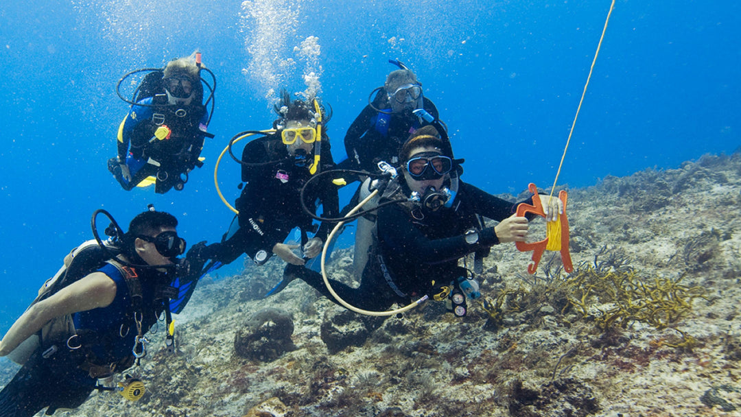 PADI Drift Diver Speciality Course - PADI - Aquaholics Dive Centre, Shop and Sea Safari