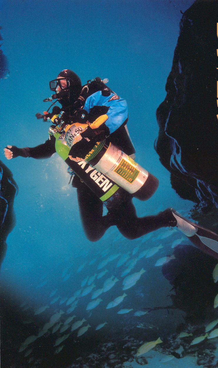 DSAT Twinset Specialty / TEC Basics - n/a - Aquaholics Dive Centre, Shop and Sea Safari