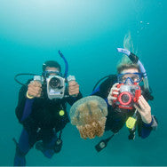 PADI Digital Underwater Photographer Specialty Course