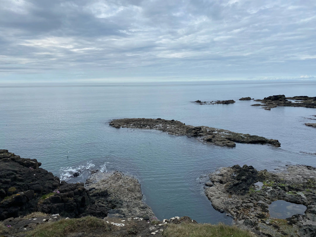 Perfect conditions of Portstewart - Aquaholics Dive Centre, Shop and Sea Safari