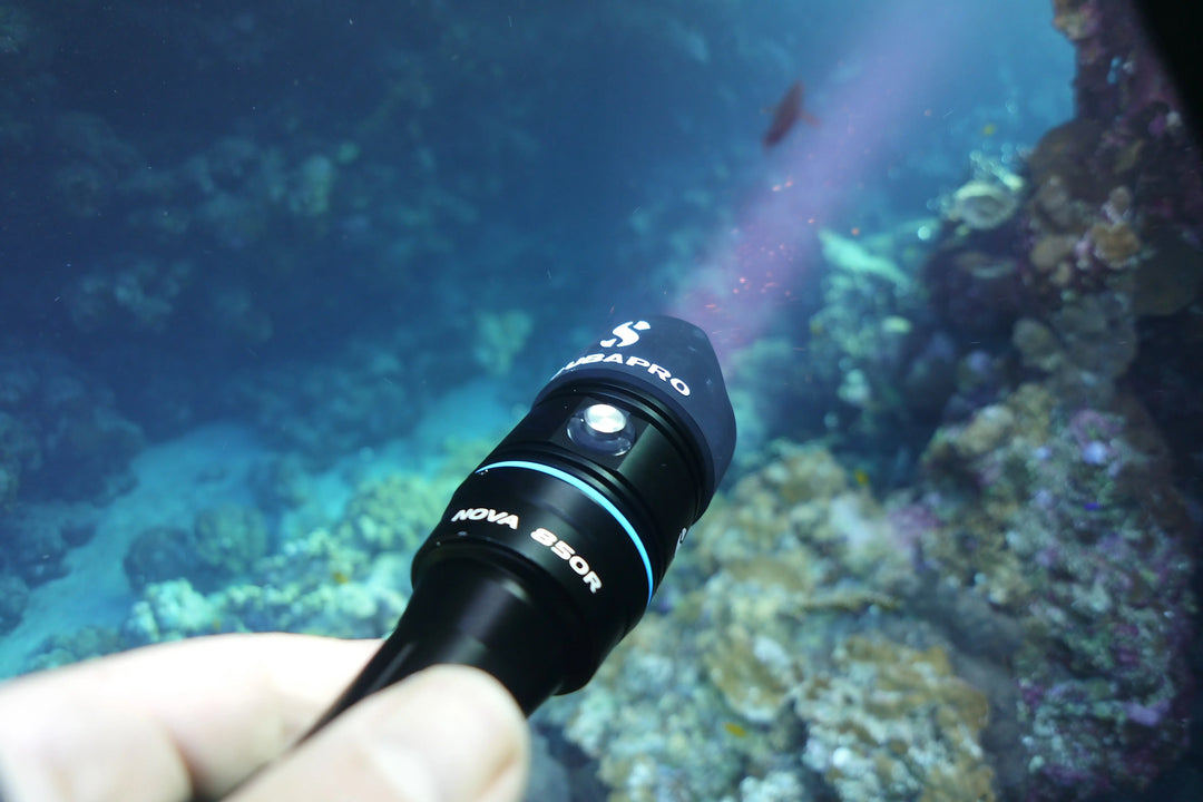 Irish Dive Show 2019 - Aquaholics Dive Centre, Shop and Sea Safari