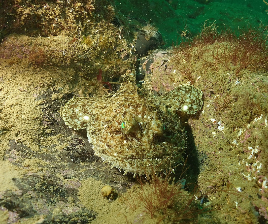 Dive equipment during the break - Aquaholics Dive Centre, Shop and Sea Safari