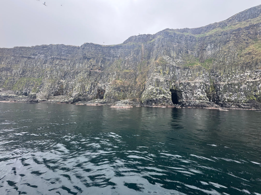 Aquaholics Carrick A rede Trip