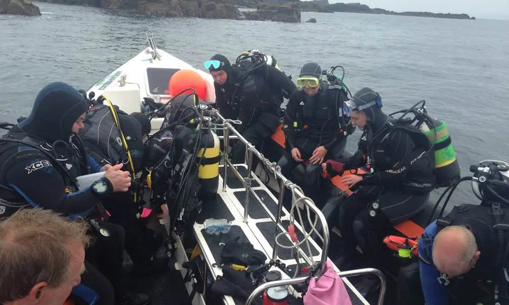 Guided Dives Seal Bay Saturday 2nd July 2016 - Aquaholics Dive Centre, Shop and Sea Safari