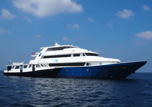 Maldives November 2018 - Aquaholics Dive Centre, Shop and Sea Safari