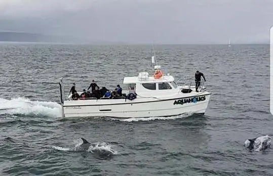 BBC Causeway Coast - Aquaholics Dive Centre, Shop and Sea Safari