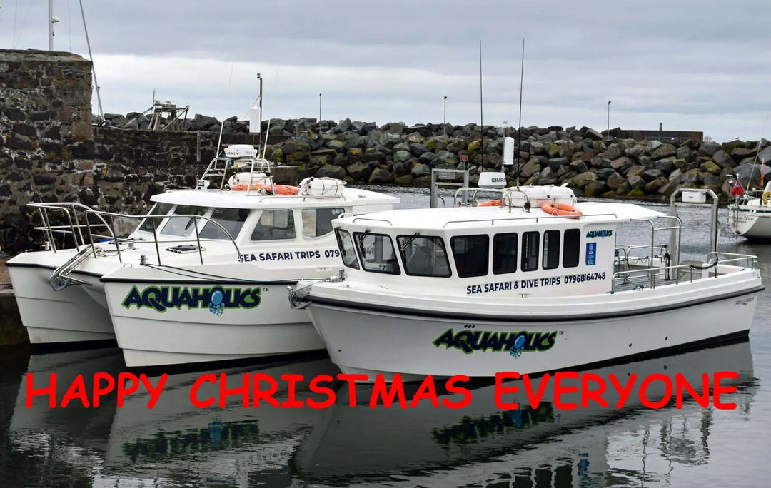 Happy Christmas Everyone - Aquaholics Dive Centre, Shop and Sea Safari