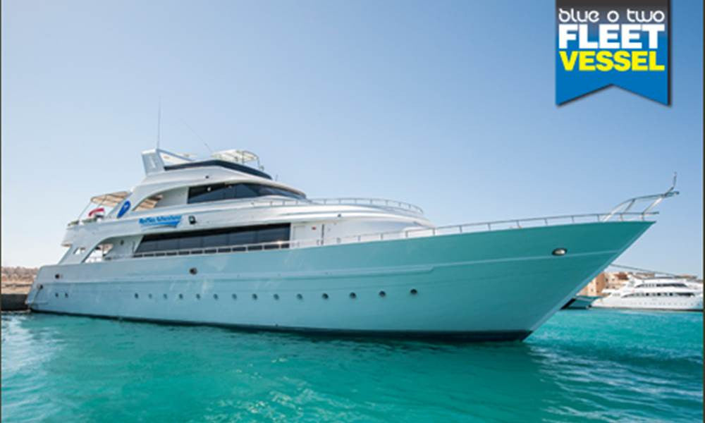 Nov 2016 Red Sea Trip Space