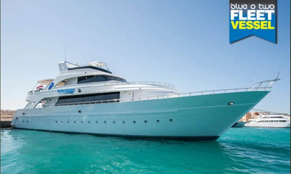 Nov 2016 Red Sea Trip Space - Aquaholics Dive Centre, Shop and Sea Safari