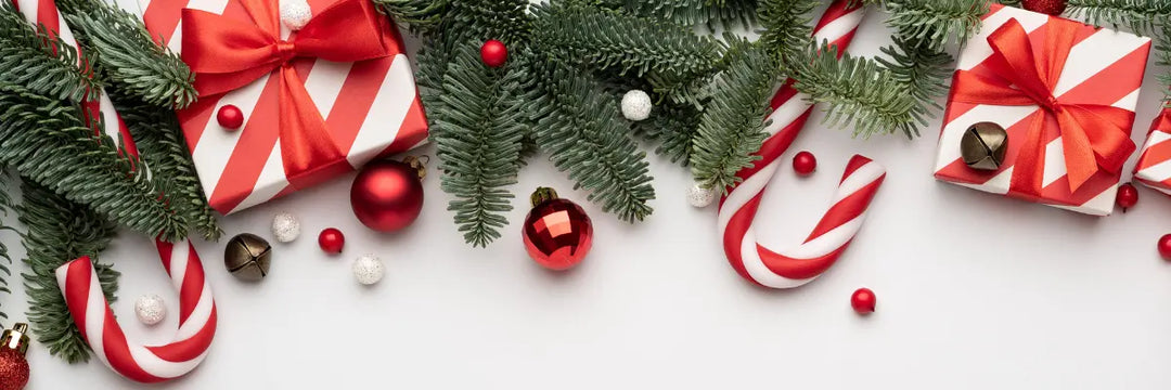 Christmas-Gifts-Under-100 Aquaholics Dive Centre, Shop and Sea Safari