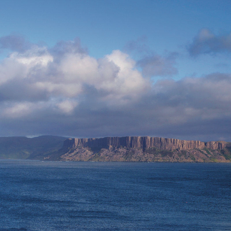 Boat Trips Departing from Ballycastle - Rathlin