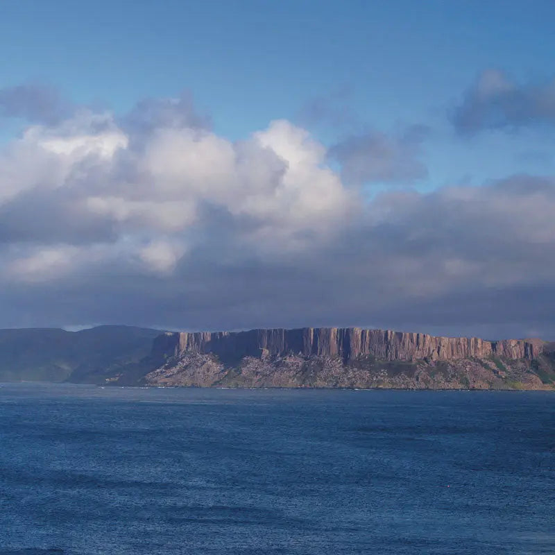 Boat Trips Departing from Ballycastle - Rathlin Aquaholics Dive Centre, Shop and Sea Safari