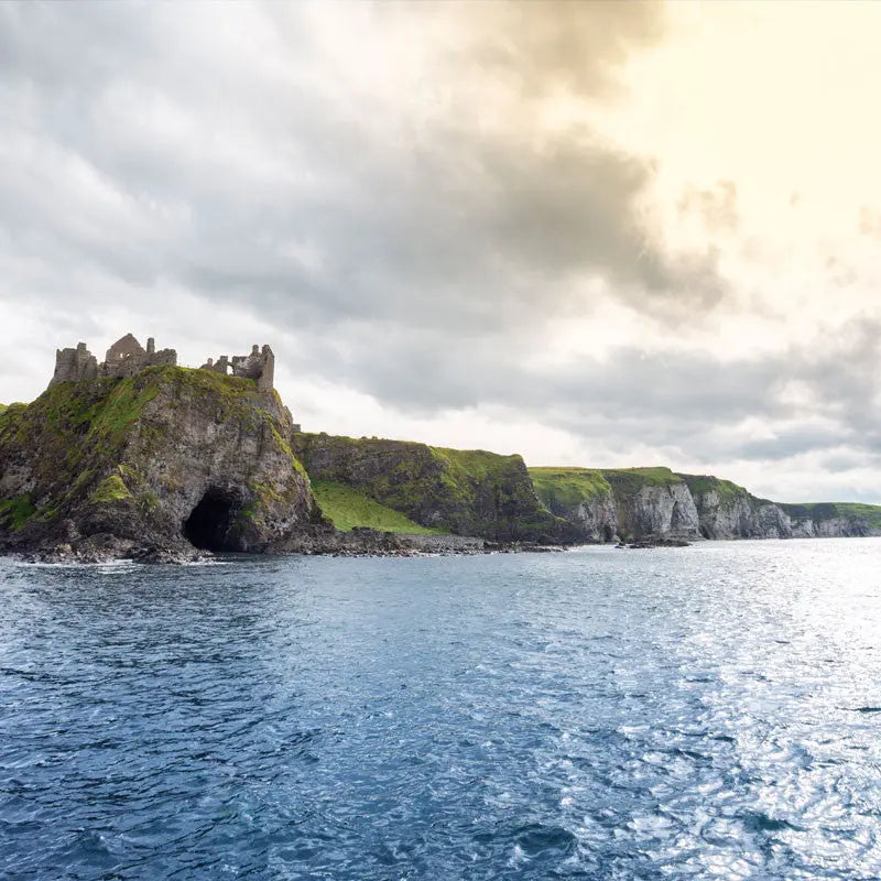 Causeway Coast Boat Trips Aquaholics Dive Centre, Shop and Sea Safari