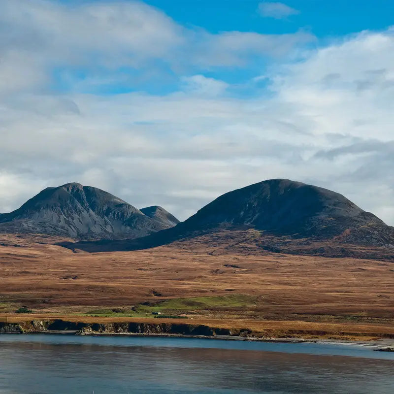 Scottish Island Boat Trips Aquaholics Dive Centre, Shop and Sea Safari