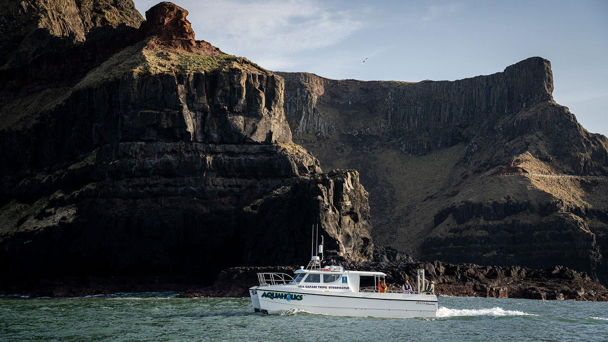 Aquaholics boat trip on the North Coast of Ireland