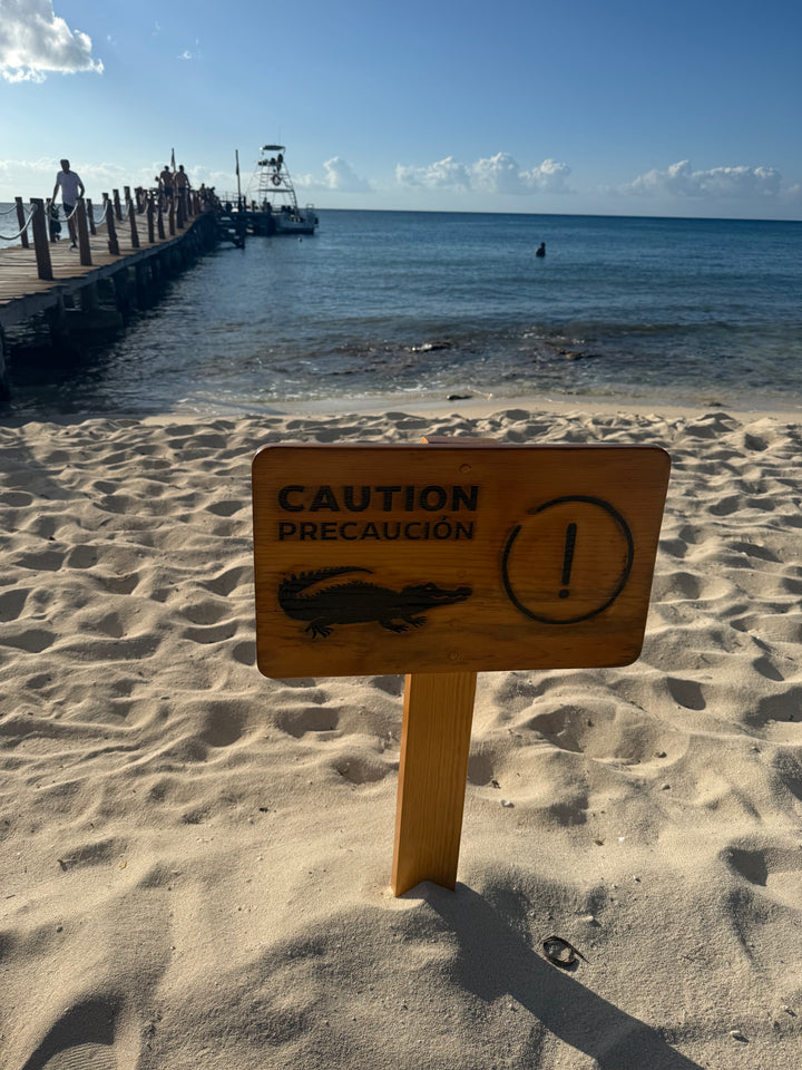 Cozumel and Tucan February 2027