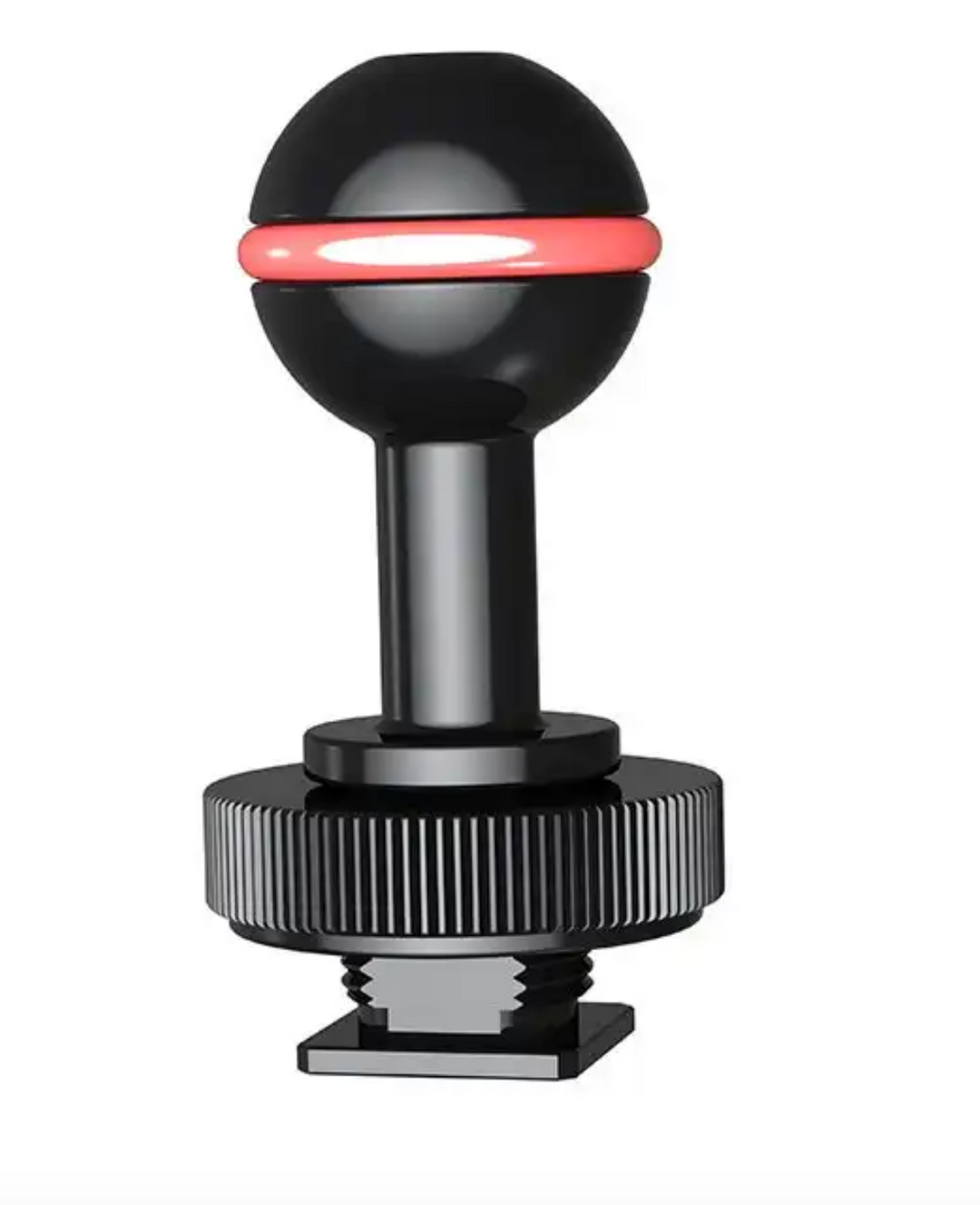 Divepro Cold Shoe ball Mount - Aquaholics Dive Centre, Shop and Sea Safari - Aquaholics Dive Centre, Shop and Sea Safari