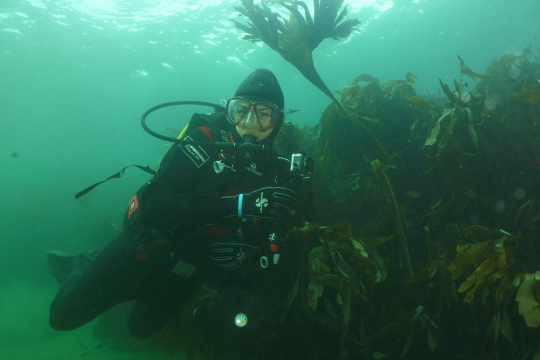 Divers exploring the North Coast underwater