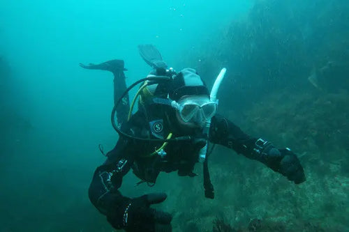 Guided Shore Dives