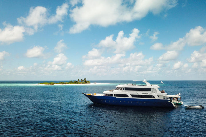 Liveaboard Deep South Maldives February 2025 - Aquaholics Dive Centre, Shop and Sea Safari - Aquaholics Dive Centre, Shop and Sea Safari