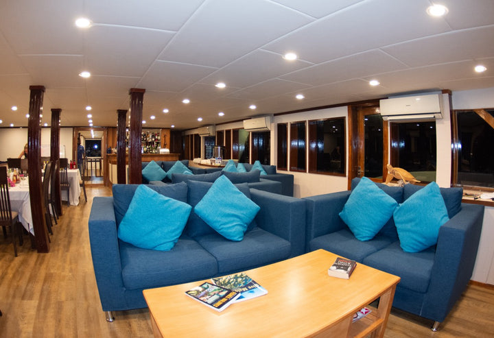 Liveaboard Deep South Maldives February 2025 - Aquaholics Dive Centre, Shop and Sea Safari - Aquaholics Dive Centre, Shop and Sea Safari