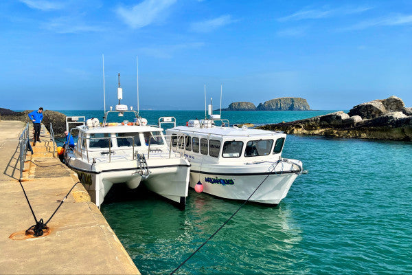 NW200 Transfers - Aquaholics Dive Centre, Shop and Sea Safari - Aquaholics Dive Centre, Shop and Sea Safari