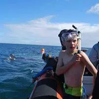 Basking shark and Inishtrahull Island boat trip from Portstewart