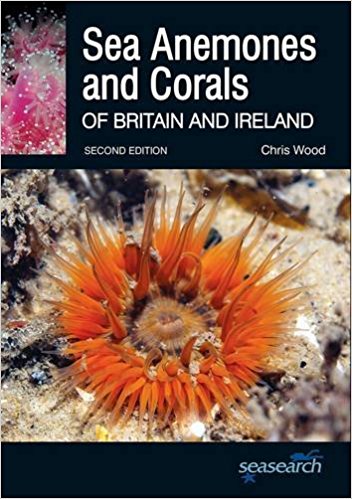 Sea Anemones & Corals Of Britain & Ireland