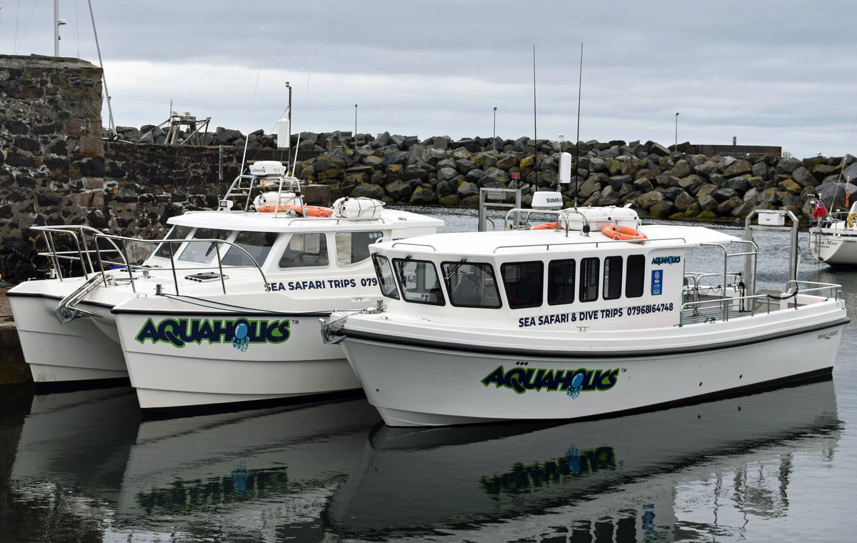 Ballycastle to Campbeltown passenger boat