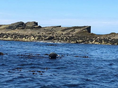 Skerries & Dunluce Castle boat trip from Portstewart or Portrush