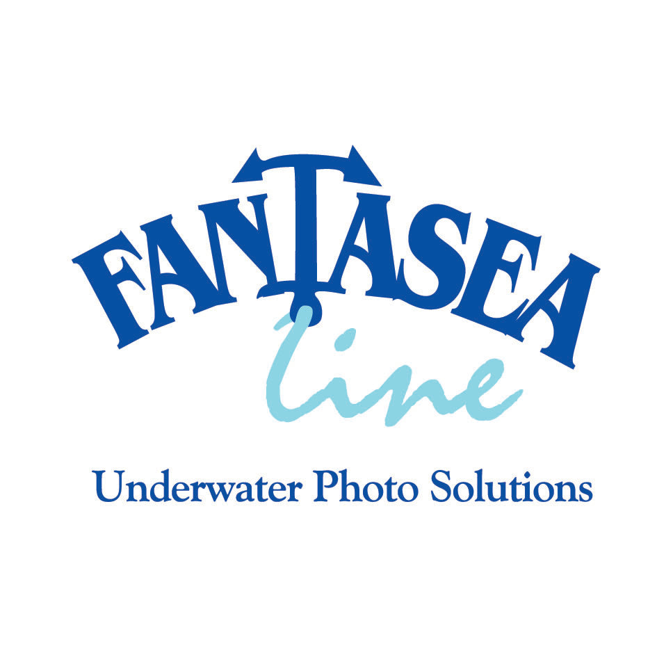 Fantasea Logo